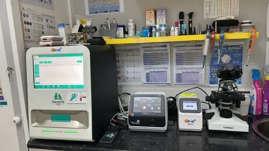 Clínica Veterinaria Los Robles en Santander - perros y gatos