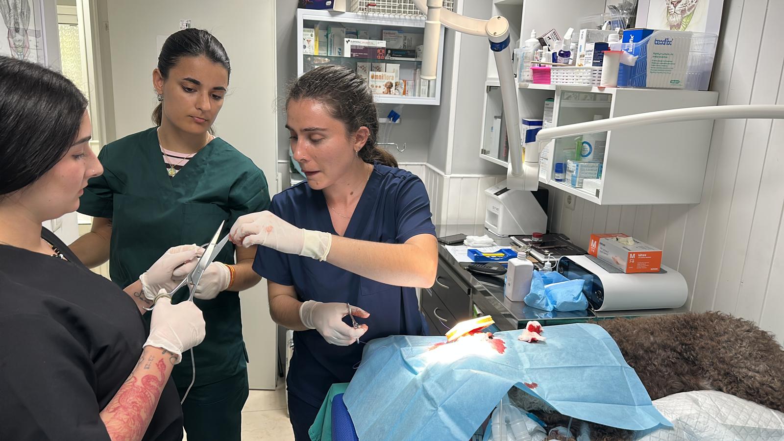 Equipo veterinario de la clínica veterinaria Los Robles
