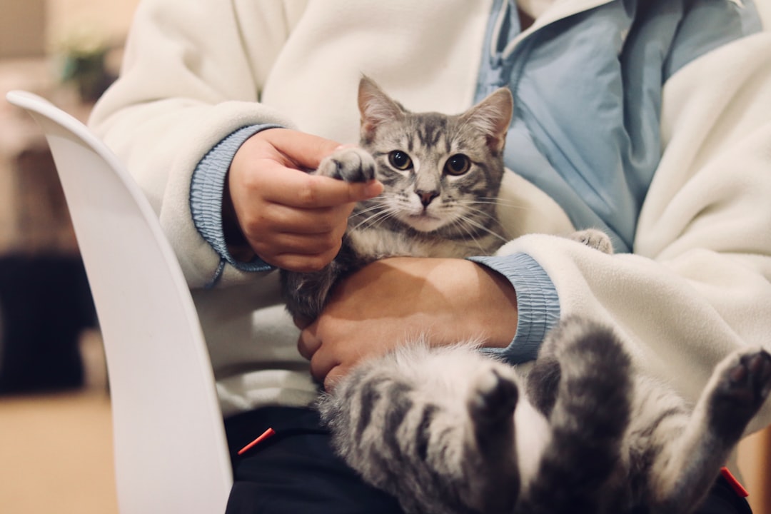 Veterinario de Clínica Veterinaria Los Robles sosteniendo un gato blanco y negro para detectar síntomas de cáncer felino