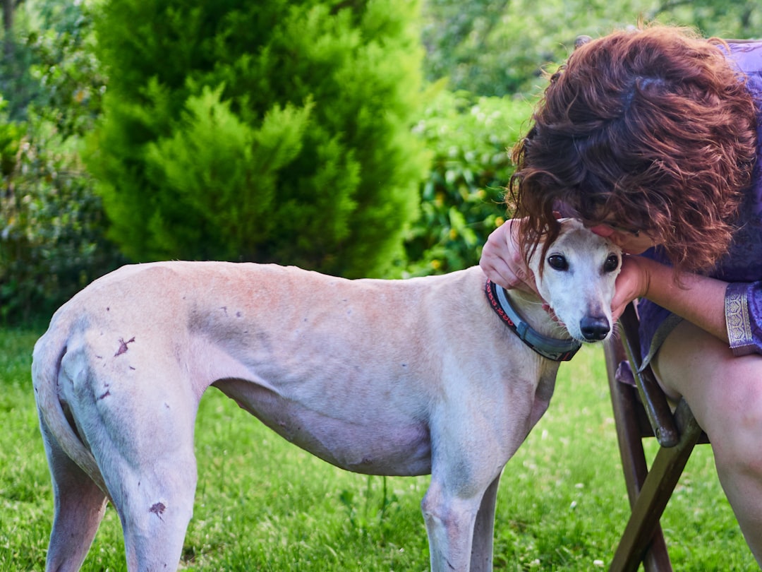Mujer abrazando a su perra galga en el jardín, preocupada por un posible tumor mamario, en Clínica Veterinaria Los Robles Santander